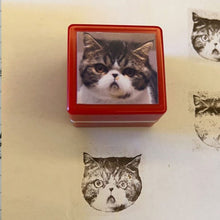 Load image into Gallery viewer, Personalized Pet Portrait Stamp